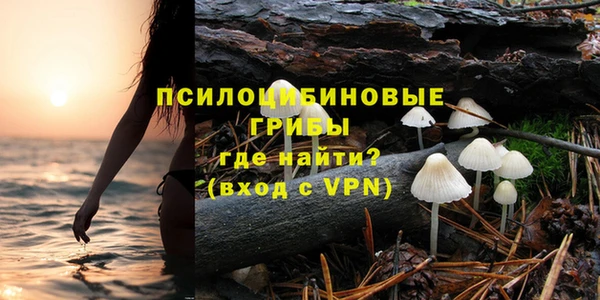 a pvp Алексин