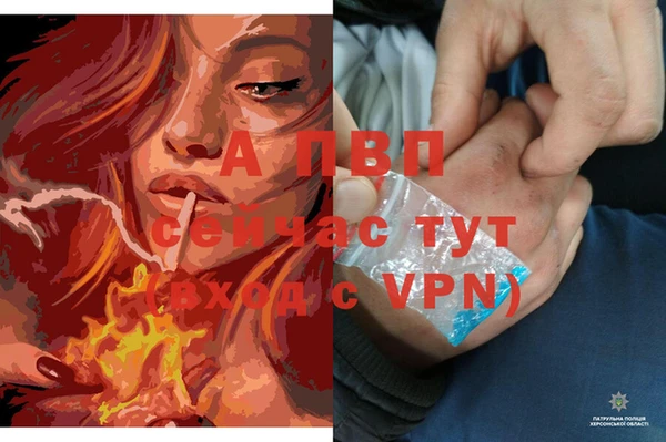 индика Алексеевка